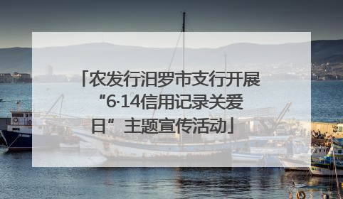 农发行汨罗市支行开展“6·14信用记录关爱日”主题宣传活动