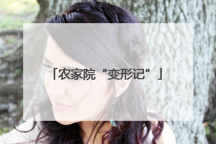 农家院“变形记”