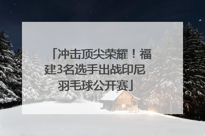 冲击顶尖荣耀！福建3名选手出战印尼羽毛球公开赛