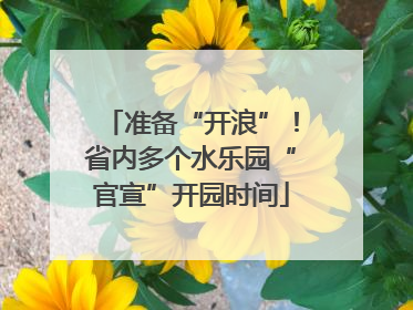 准备“开浪”！省内多个水乐园“官宣”开园时间