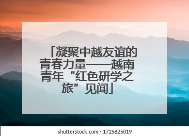 凝聚中越友谊的青春力量——越南青年“红色研学之旅”见闻