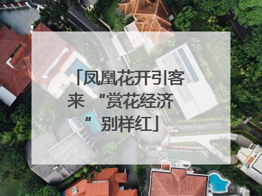 凤凰花开引客来 “赏花经济”别样红