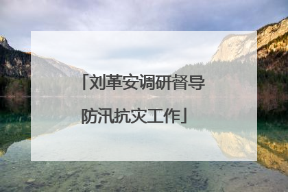 刘革安调研督导防汛抗灾工作