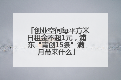 创业空间每平方米日租金不超1元，浦东“青创15条”满月带来什么