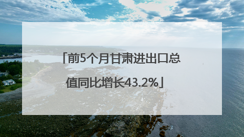 前5个月甘肃进出口总值同比增长43.2%