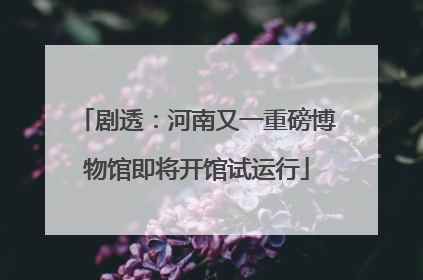 剧透：河南又一重磅博物馆即将开馆试运行