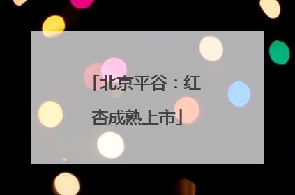 北京平谷：红杏成熟上市