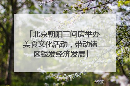北京朝阳三间房举办美食文化活动，带动辖区银发经济发展
