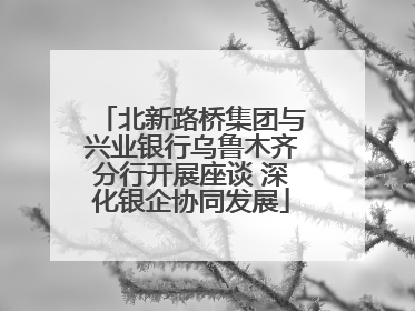 北新路桥集团与兴业银行乌鲁木齐分行开展座谈 深化银企协同发展