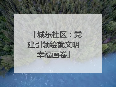 城东社区：党建引领绘就文明幸福画卷