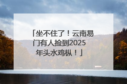 坐不住了！云南易门有人捡到2025年头水鸡枞！