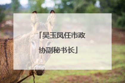 吴玉凤任市政协副秘书长