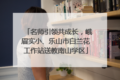名师引领共成长，峨眉实小、乐山市白兰花工作站送教南山学区