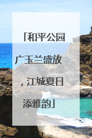 和平公园广玉兰盛放，江城夏日添雅韵