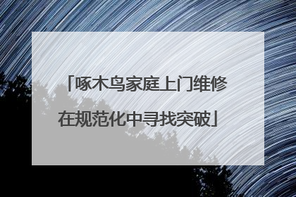 啄木鸟家庭上门维修在规范化中寻找突破