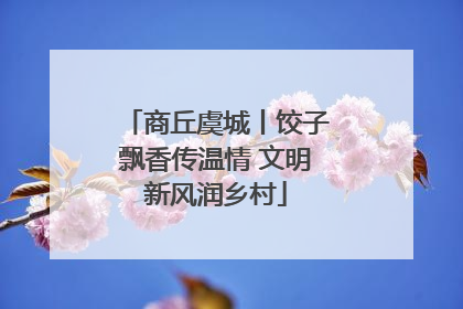 商丘虞城丨饺子飘香传温情 文明新风润乡村