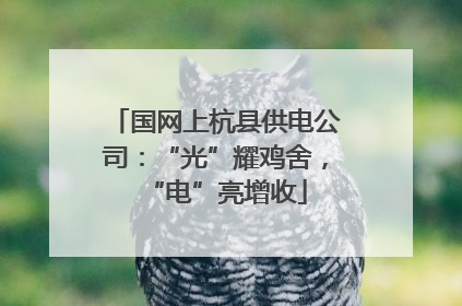 国网上杭县供电公司：“光”耀鸡舍，“电”亮增收
