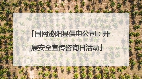 国网泌阳县供电公司：开展安全宣传咨询日活动