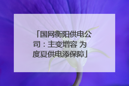 国网衡阳供电公司：主变增容 为度夏供电添保障
