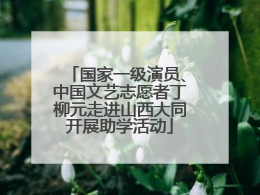 国家一级演员、中国文艺志愿者丁柳元走进山西大同开展助学活动