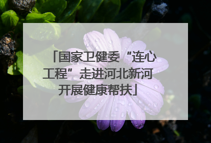 国家卫健委“连心工程”走进河北新河开展健康帮扶