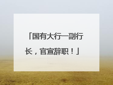 国有大行一副行长，官宣辞职！