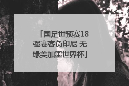 国足世预赛18强赛客负印尼 无缘美加墨世界杯