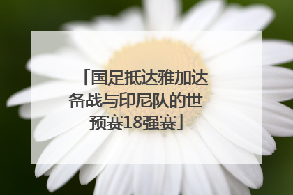 国足抵达雅加达备战与印尼队的世预赛18强赛