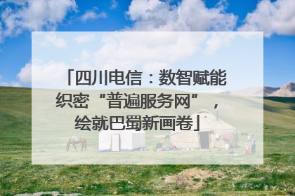 四川电信：数智赋能织密“普遍服务网”，绘就巴蜀新画卷
