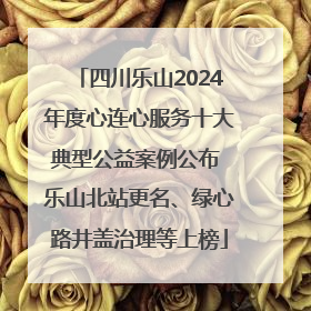 四川乐山2024年度心连心服务十大典型公益案例公布 乐山北站更名、绿心路井盖治理等上榜