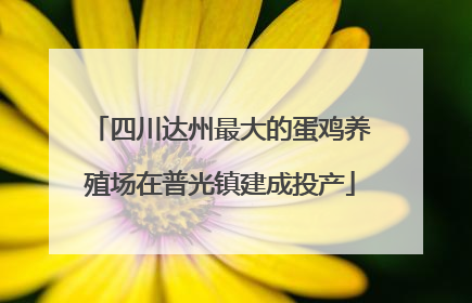 四川达州最大的蛋鸡养殖场在普光镇建成投产