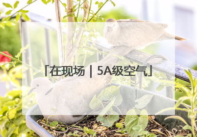 在现场｜5A级空气