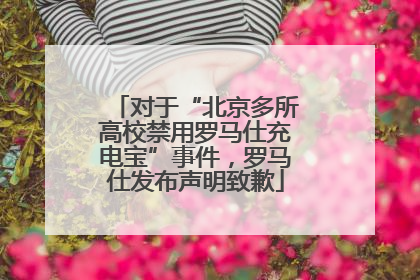 对于“北京多所高校禁用罗马仕充电宝”事件，罗马仕发布声明致歉