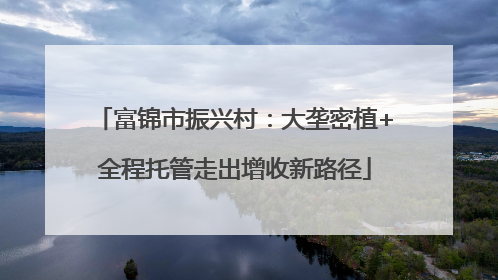 富锦市振兴村：大垄密植+全程托管走出增收新路径