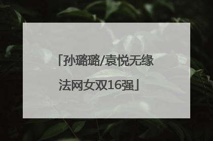 孙璐璐/袁悦无缘法网女双16强
