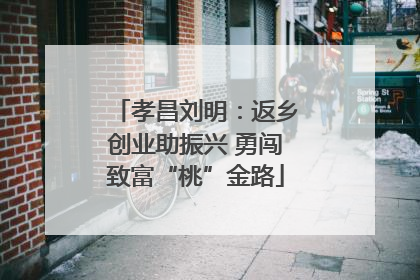 孝昌刘明：返乡创业助振兴 勇闯致富“桃”金路
