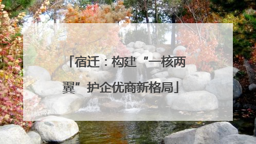 宿迁：构建“一核两翼”护企优商新格局