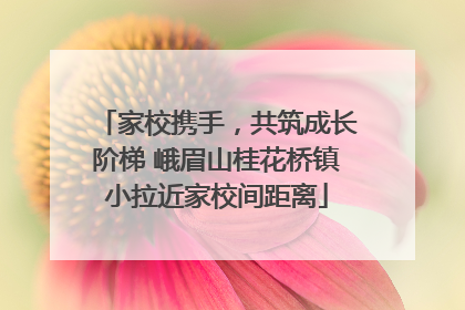 家校携手，共筑成长阶梯 峨眉山桂花桥镇小拉近家校间距离
