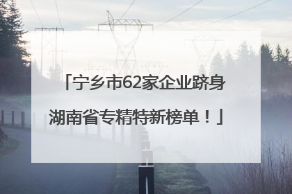 宁乡市62家企业跻身湖南省专精特新榜单！