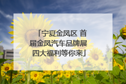 宁夏金凤区 首届金凤汽车品牌展四大福利等你来