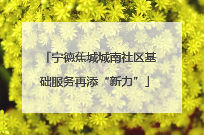 宁德蕉城城南社区基础服务再添“新力”