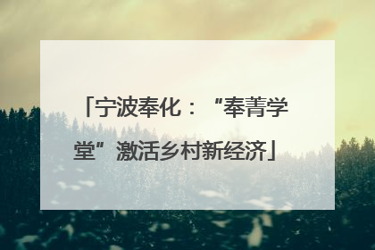 宁波奉化：“奉菁学堂”激活乡村新经济