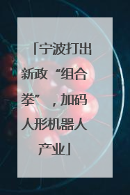 宁波打出新政“组合拳”，加码人形机器人产业