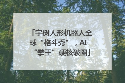 宇树人形机器人全球“格斗秀”，AI“拳王”硬核破圈