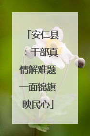 安仁县：干部真情解难题一面锦旗映民心