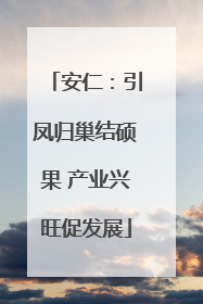安仁：引凤归巢结硕果 产业兴旺促发展