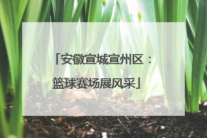 安徽宣城宣州区：篮球赛场展风采