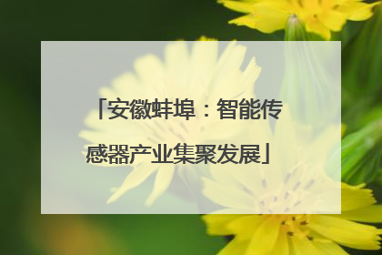 安徽蚌埠：智能传感器产业集聚发展