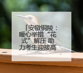 安徽铜陵：暖心举措“花式”解压 助力考生迎接高考