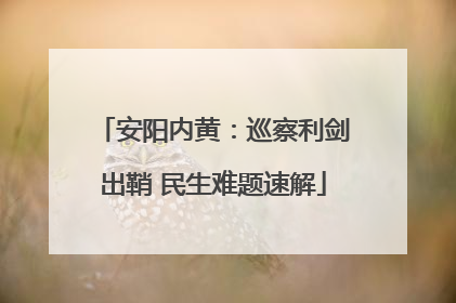 安阳内黄：巡察利剑出鞘 民生难题速解